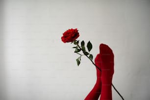 a single red rose in a red vase