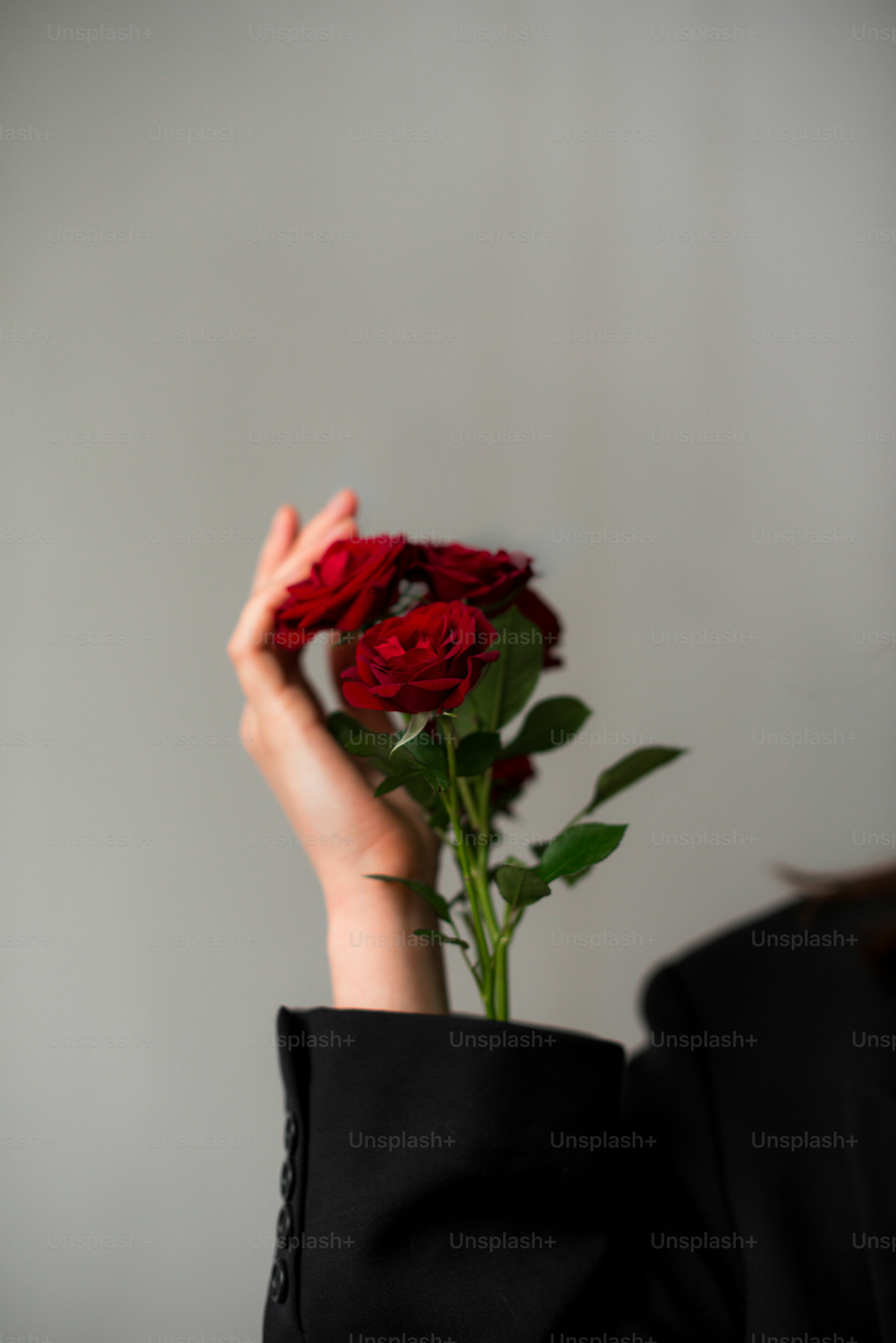 A woman holding a bouquet of red roses photo – Rose Image on Unsplash