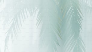 una foto sfocata di una palma verde