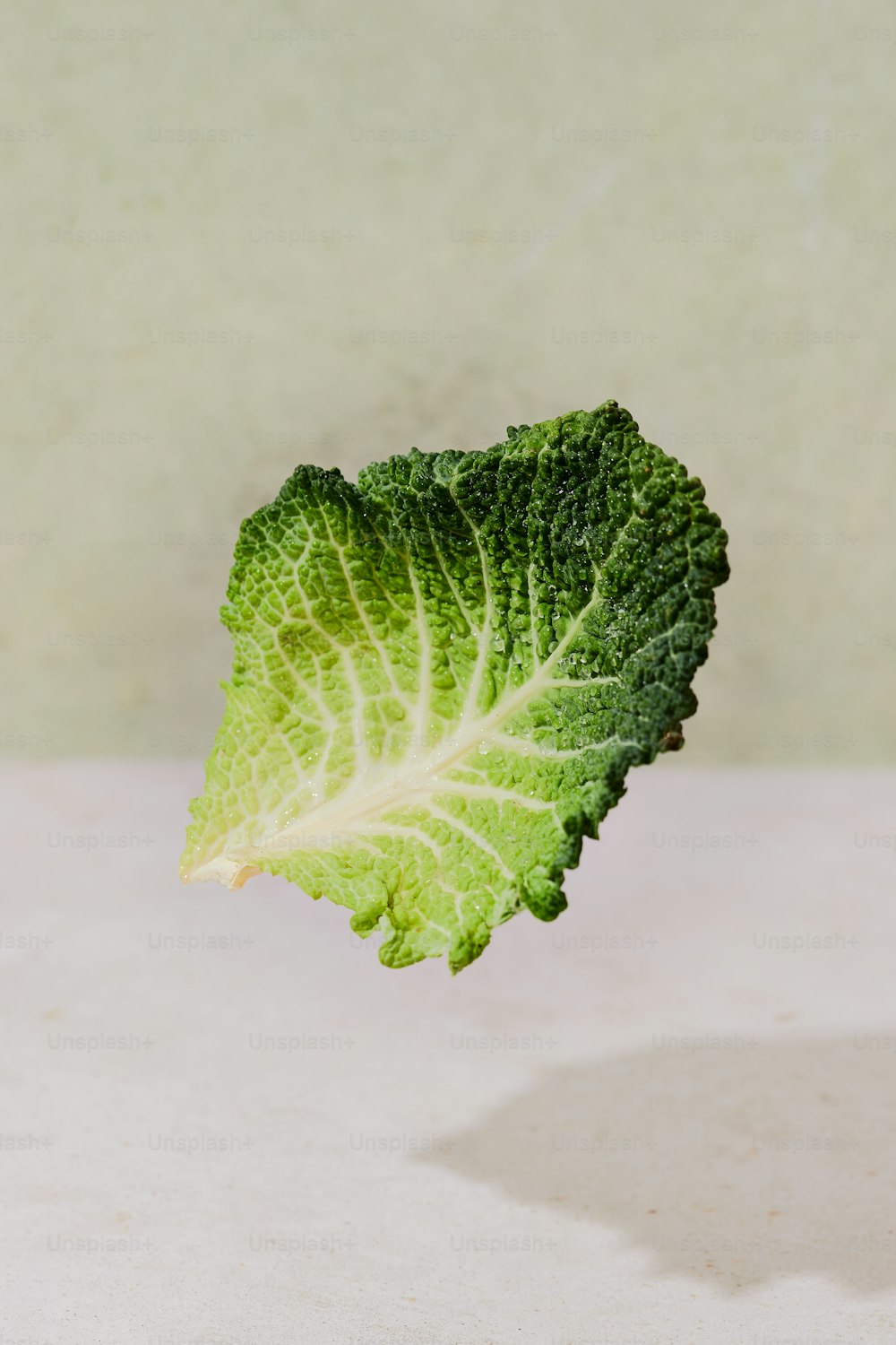 a leaf of broccoli on a white surface