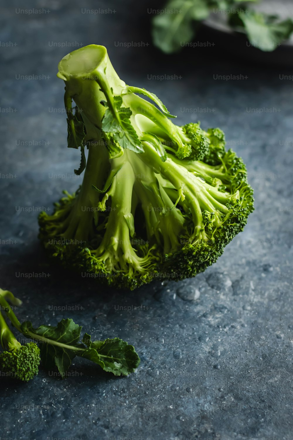 a close up of a piece of broccoli on a table