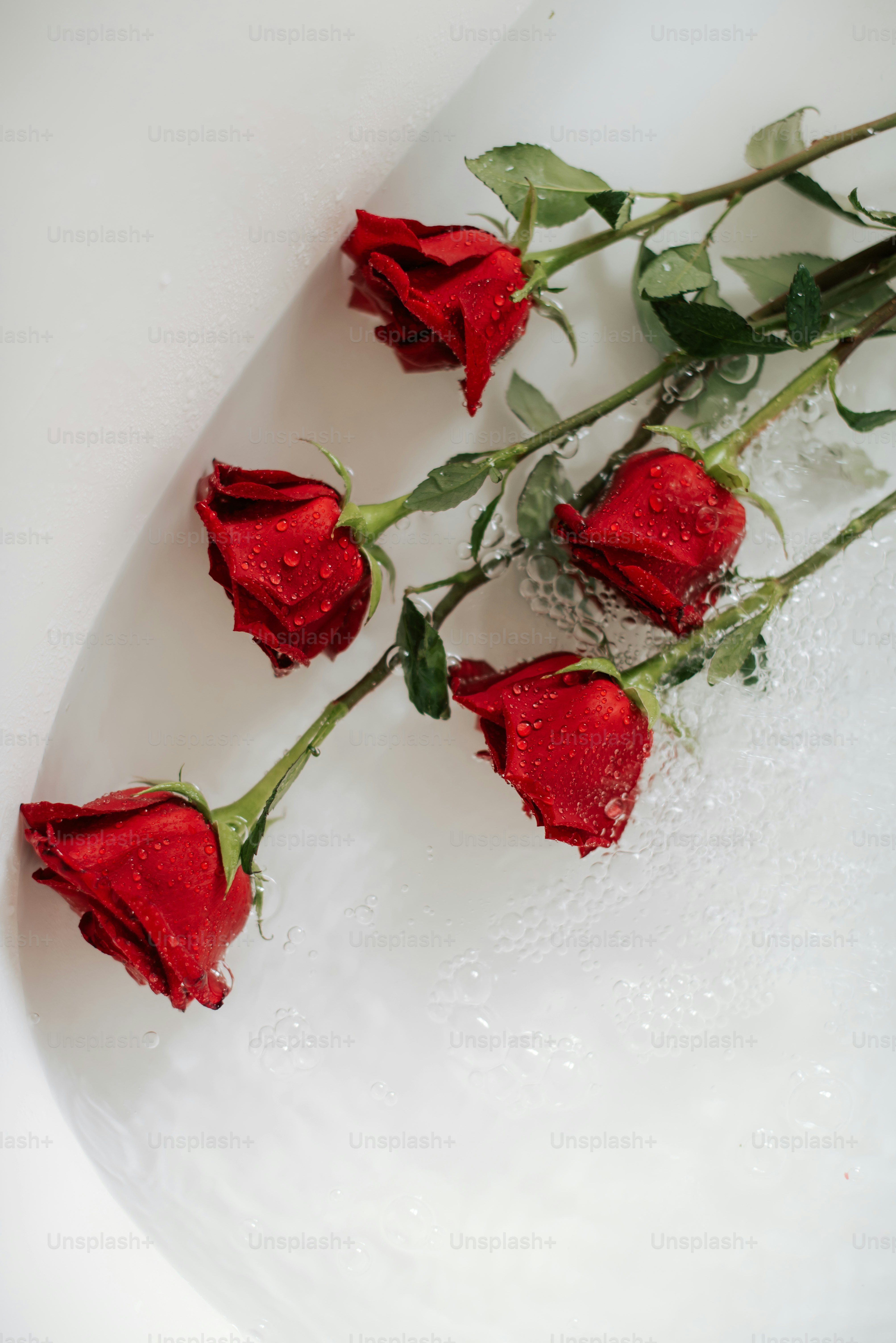 a bunch of red roses sitting on top of a white plate