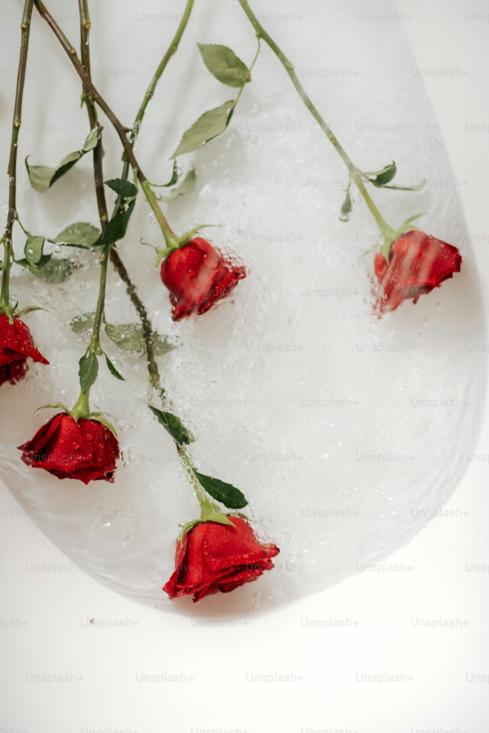 a bunch of red roses sitting on top of ice