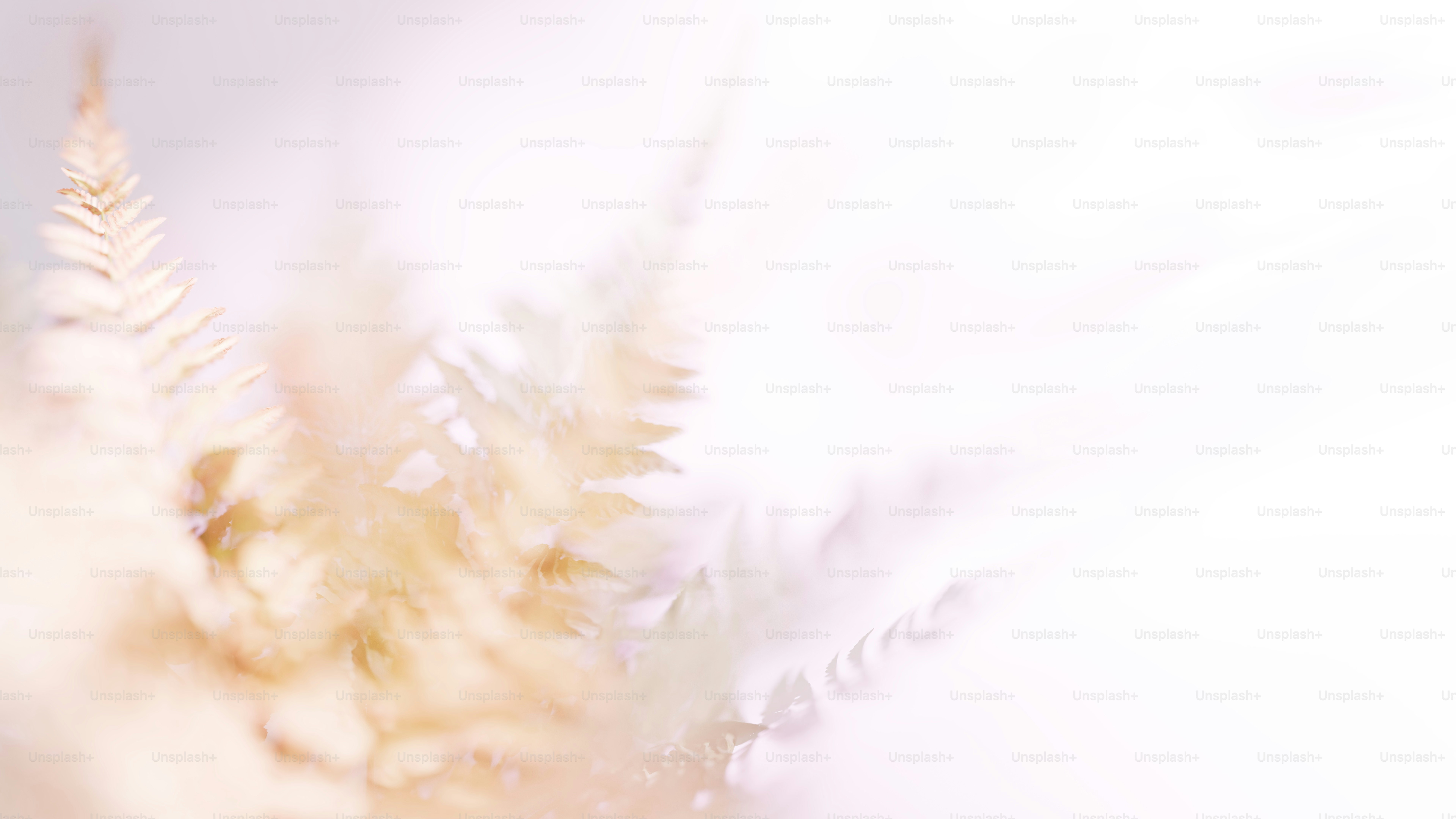 a blurry photo of a plant with a white background