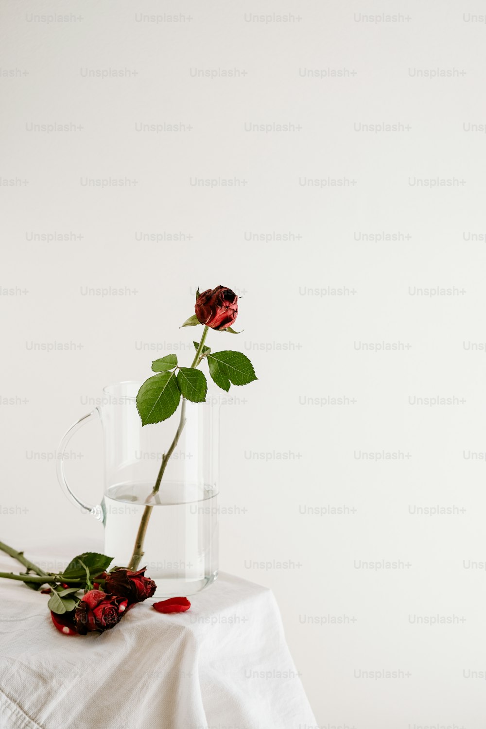 테이블 위의 유리 꽃병에 담긴 장미 한 송이