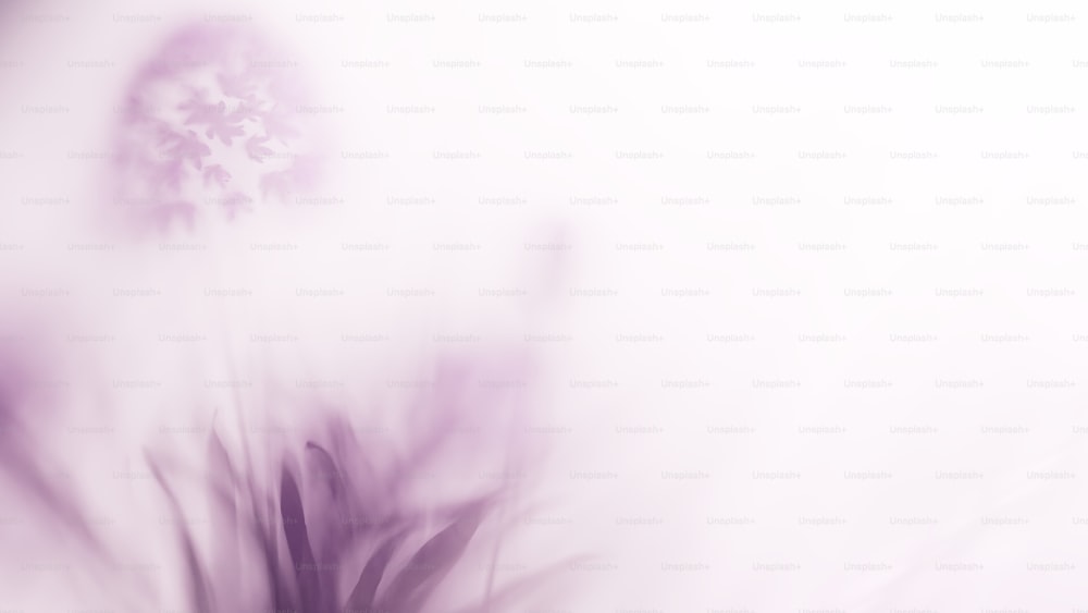una foto borrosa de una flor en púrpura