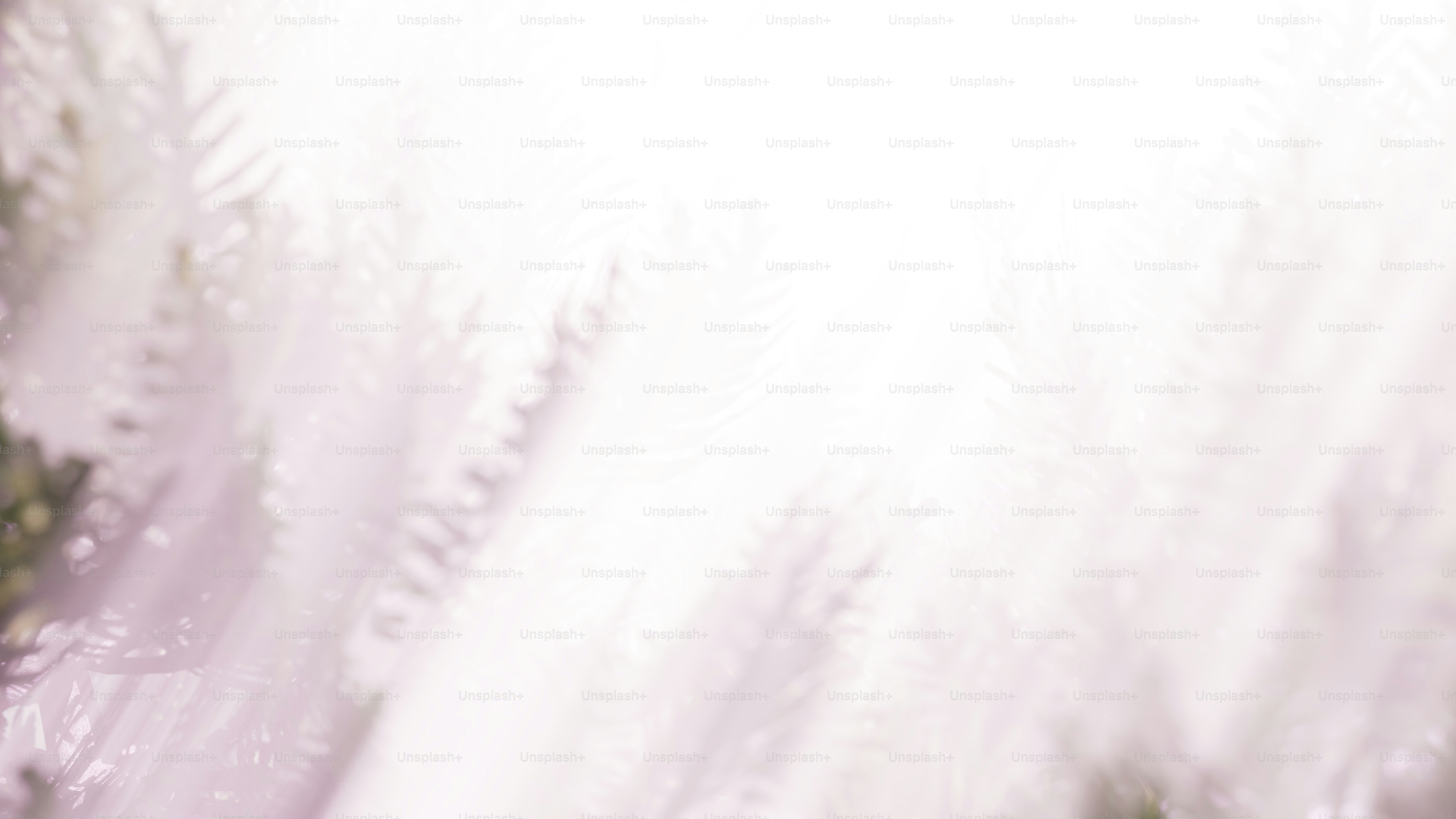 premium_photo-1702300623166-2840b3a82f9b?ixid=M3wxMjA3fDB8MXxzZWFyY2h8NHx8dWZhYmV0fGVufDB8fHx8MTc2NDM0MjI0M3ww\u0026ixlib=rb-4.1.0