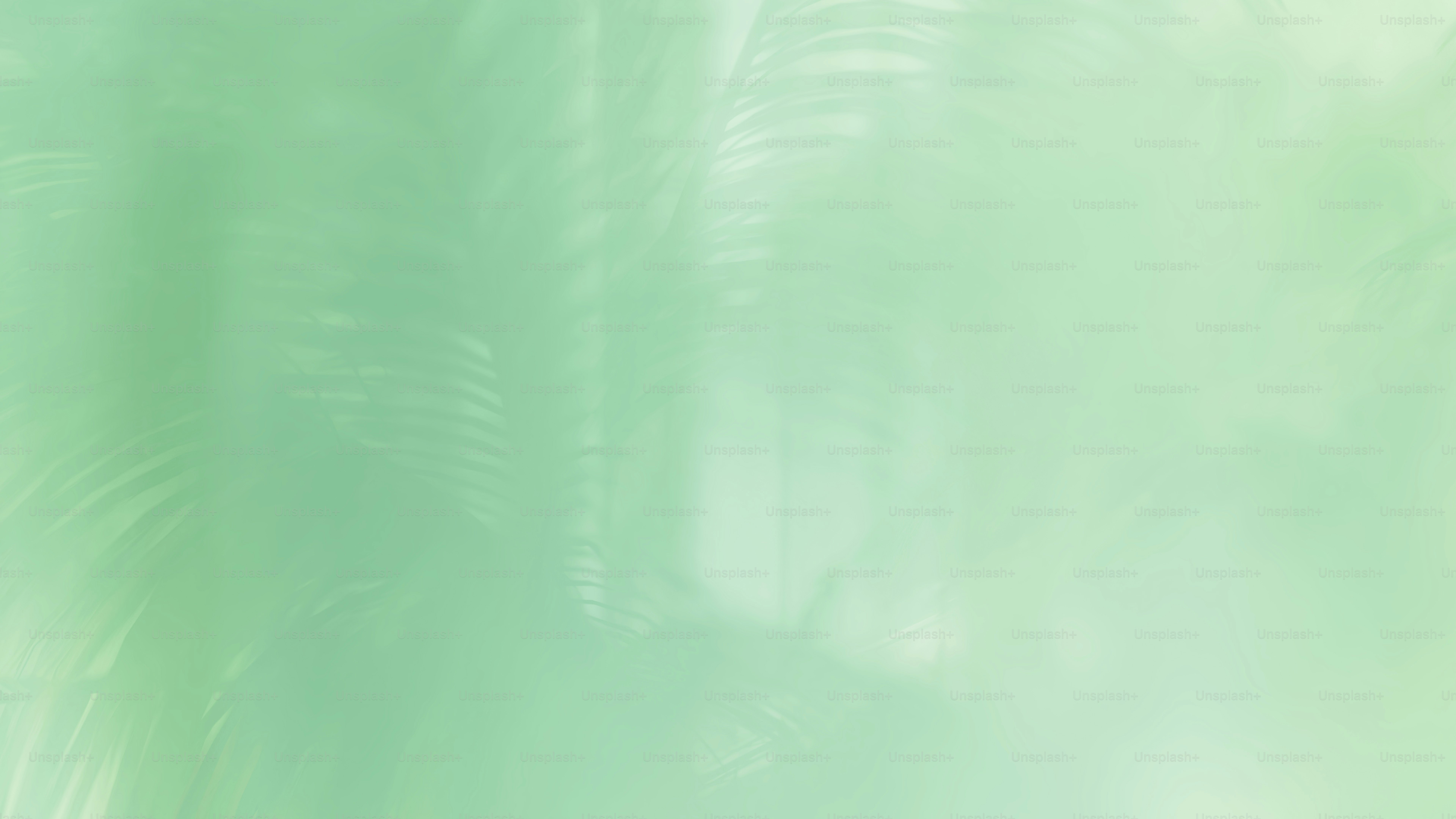 a blurry photo of a green background