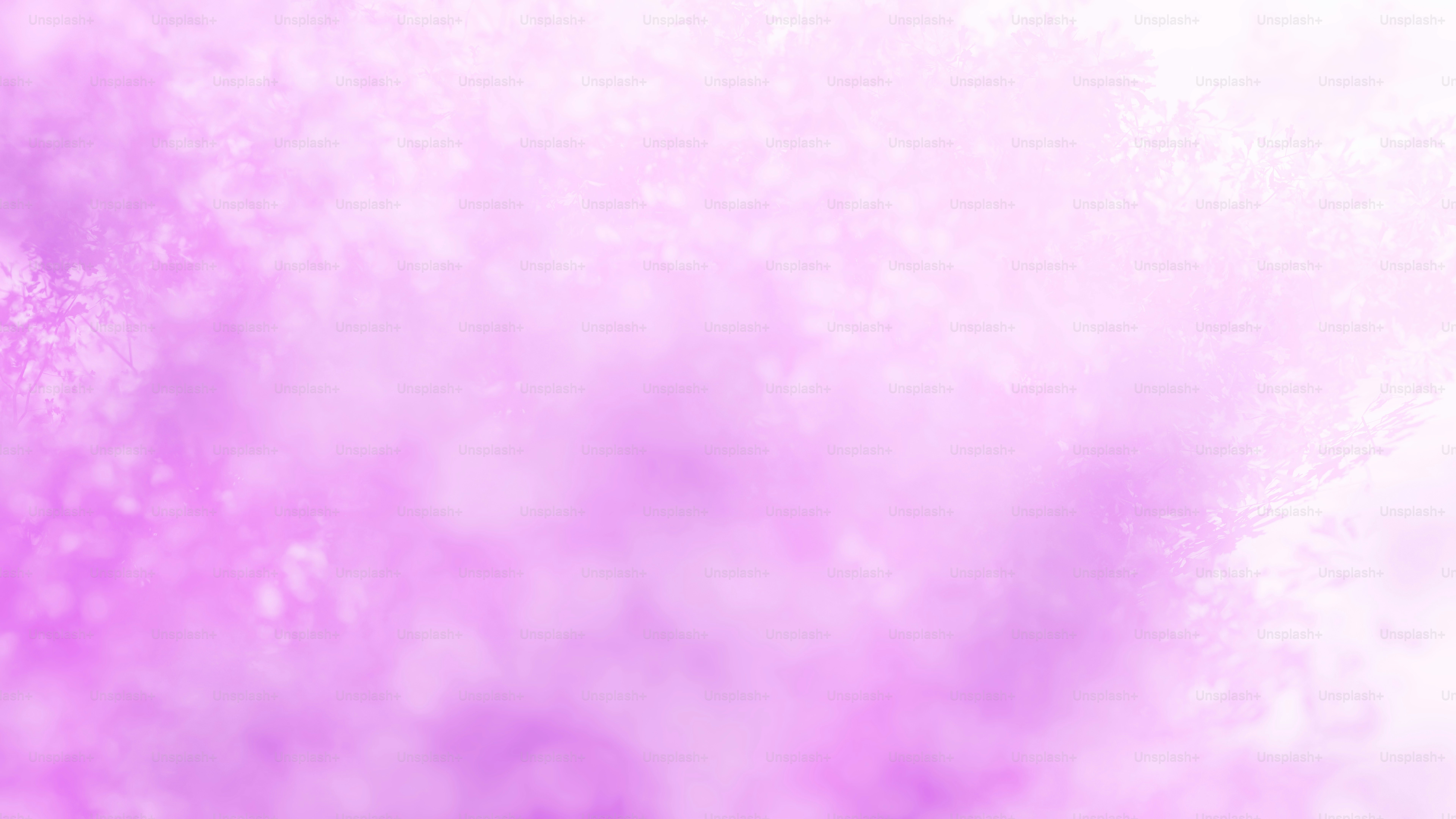 a blurry photo of a tree in the fog