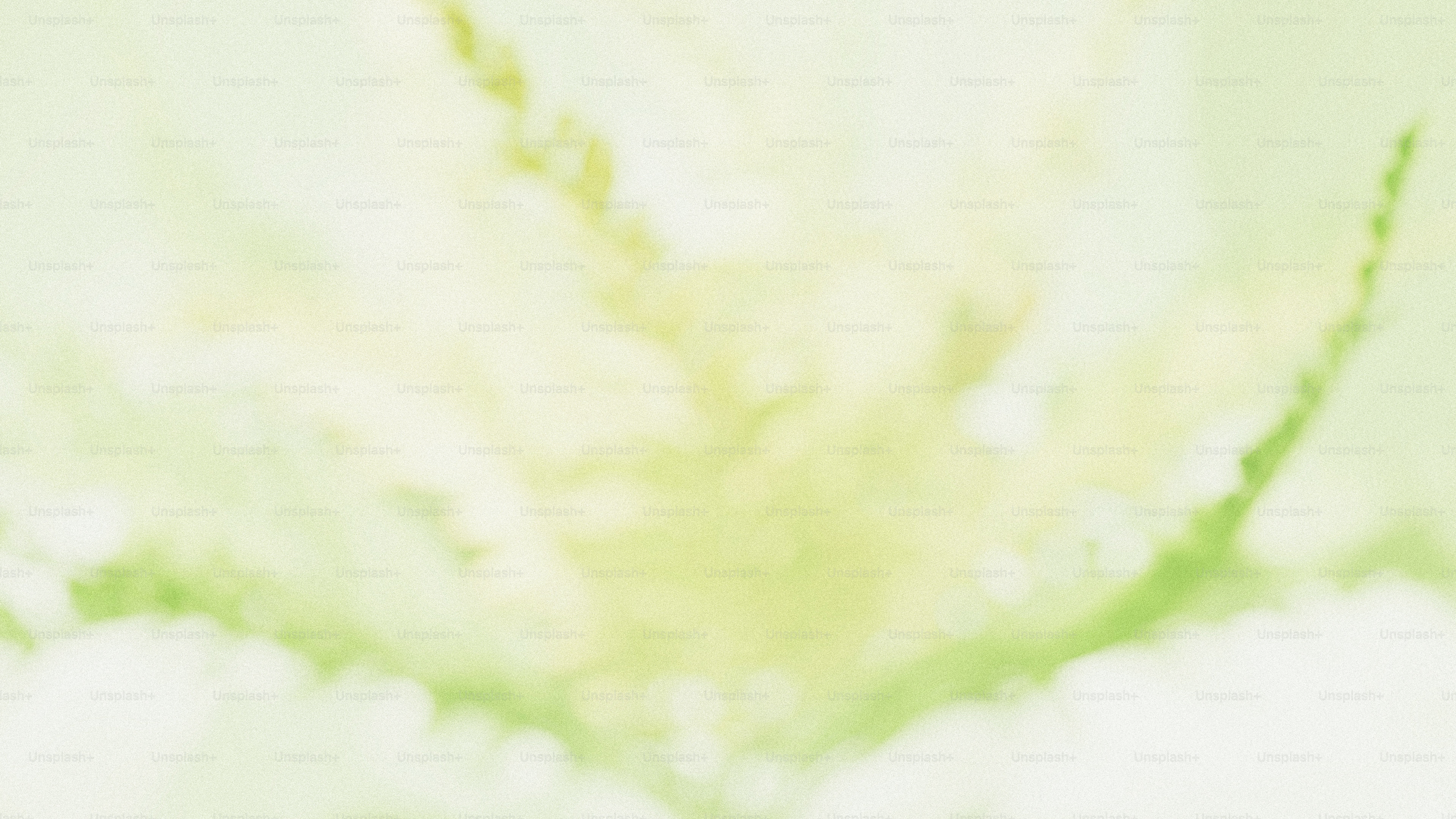 a blurry photo of a plant with a green background