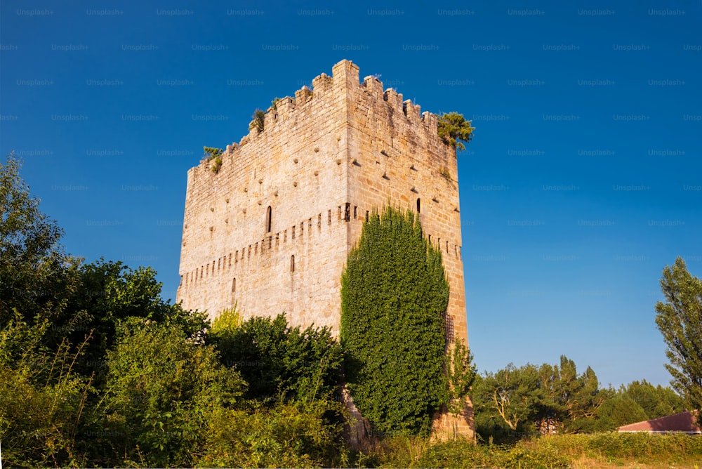 스페인 부르고스 에스피노사 데 로스 몬테로스(Espinosa de los monteros)에 있는 중세 타워.