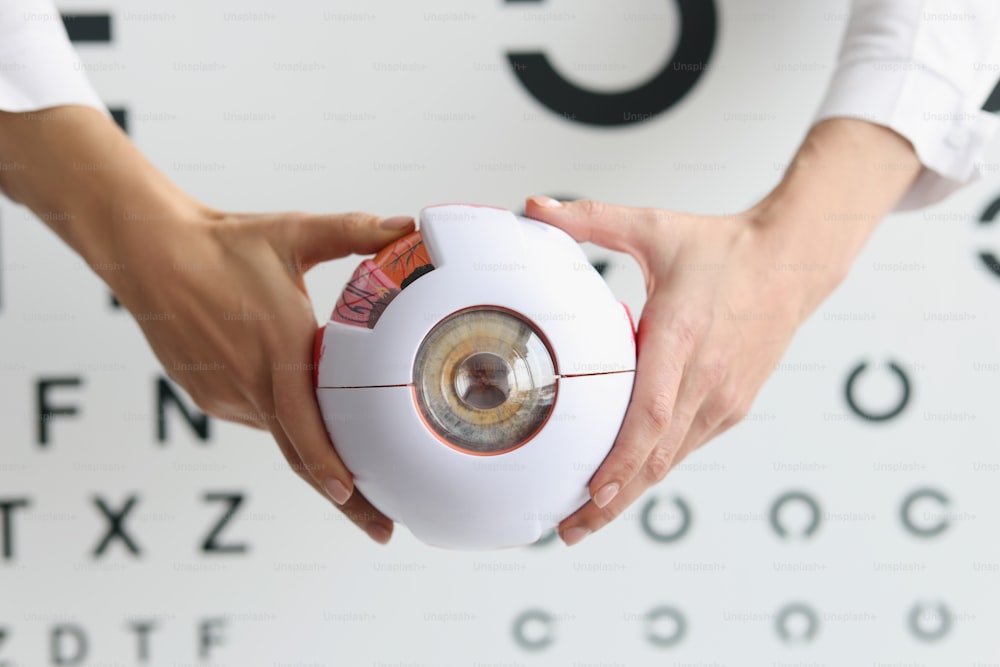 Vista superior del médico oftalmólogo que sostiene parte del modelo del ojo, muestra del óculo, cuidado de la salud, oftalmología, chequeo, medicina, diagnóstico ocular, concepto de la vista