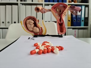 医療用錠剤、処方箋、赤ちゃん、胎児、子宮。妊娠中の薬の服用コンセプト