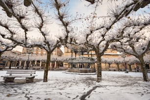 スペイン、カスティーリャ・イ・レオン州ブルゴス県の古代の村ブリビエスカの雪に覆われた街並みの風景の冬のシーン。