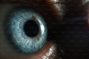 Männlicher blauer Augenverschluss Super-Makro-Hintergrund. Auswahl von Brillen- und Kontaktlinsenkonzepten