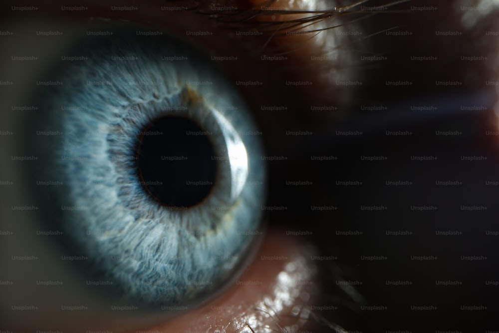 Cierre de ojos azules masculinos fondo súper macro. Selección de gafas y concepto de lentes de contacto