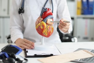 La dottoressa mostra un modello di plastica del cuore, primo piano. Materiale di formazione per un cardiologo, sul posto di lavoro di un chirurgo