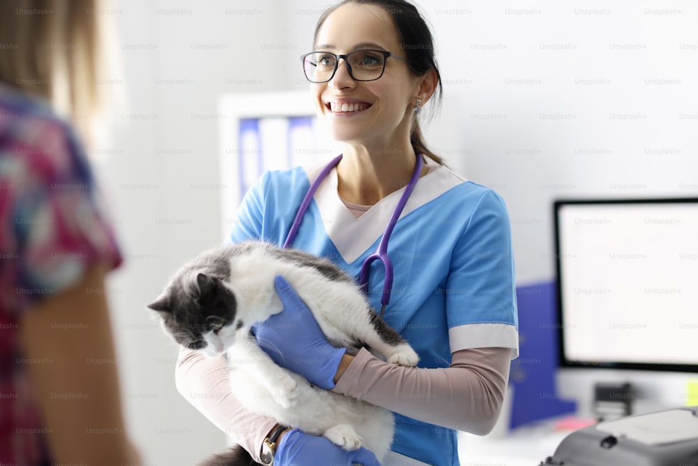 笑顔の獣医師は猫を腕に抱き、飼い主とコミュニケーションを取ります。動物病院のコンセプトにおけるサービスとサービス