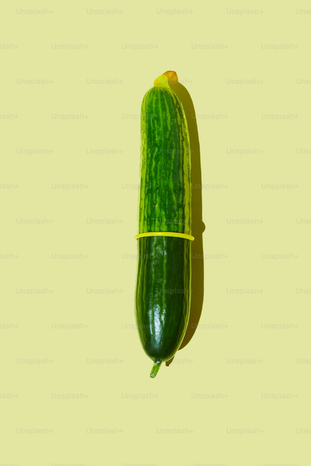 Close up of single cucumber with condom safe sex and protection concept, copy space