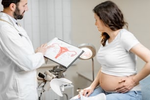 婦人科診療所での診察中に妊婦�を連れた医師、理解のためのいくつかの医療スキームを示しています。妊娠中の医療と健康の考え方