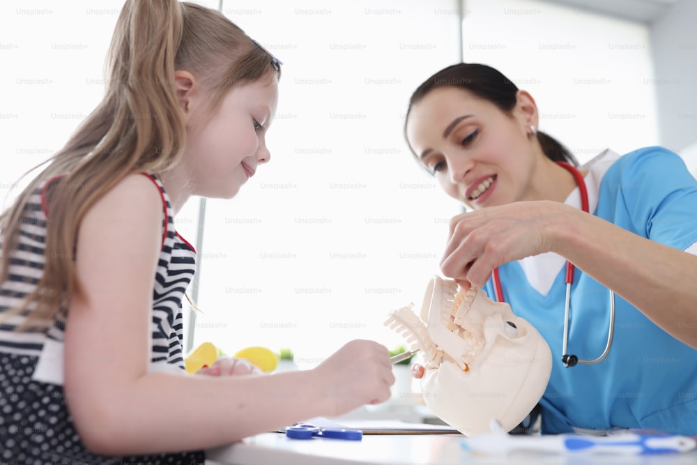 The doctor in the clinic teaches the child anatomy, the model of the skull and cervical vertebra, close-up