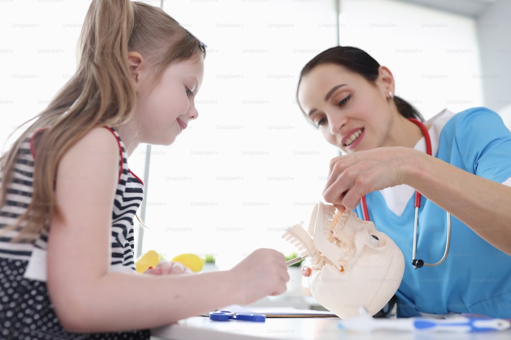 O médico na clínica ensina a anatomia da criança, o modelo do crânio e vértebra cervical, close-up
