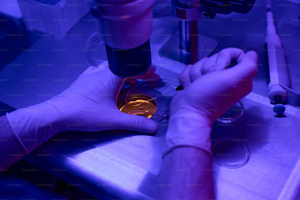 Männliche Arbeiterhände führen Biopsie an Embryonen in der Zellkulturschale durch, die ins Mikroskop schauen, um Anomalien zukünftiger Kinder auszuschließen