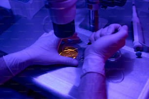 Des mains ouvrières masculines font une biopsie à des embryons dans une boîte de culture cellulaire cherchant au microscope à exclure les anomalies des futurs enfants