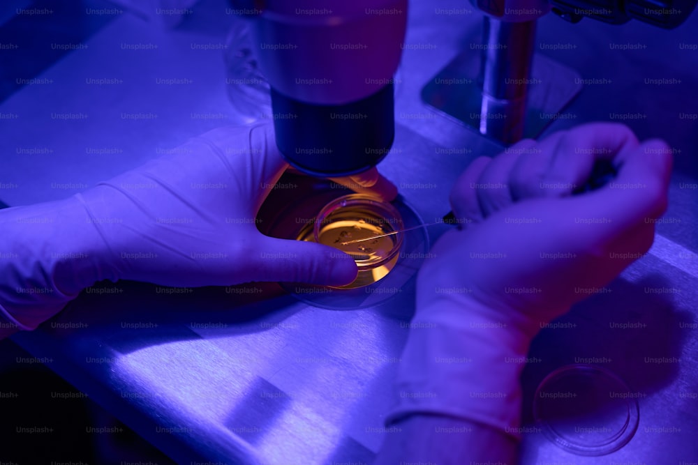 Reproductology laboratory worker taking sample from embryos in cell culture dish to conduct genetic researches before transfer into the uterus