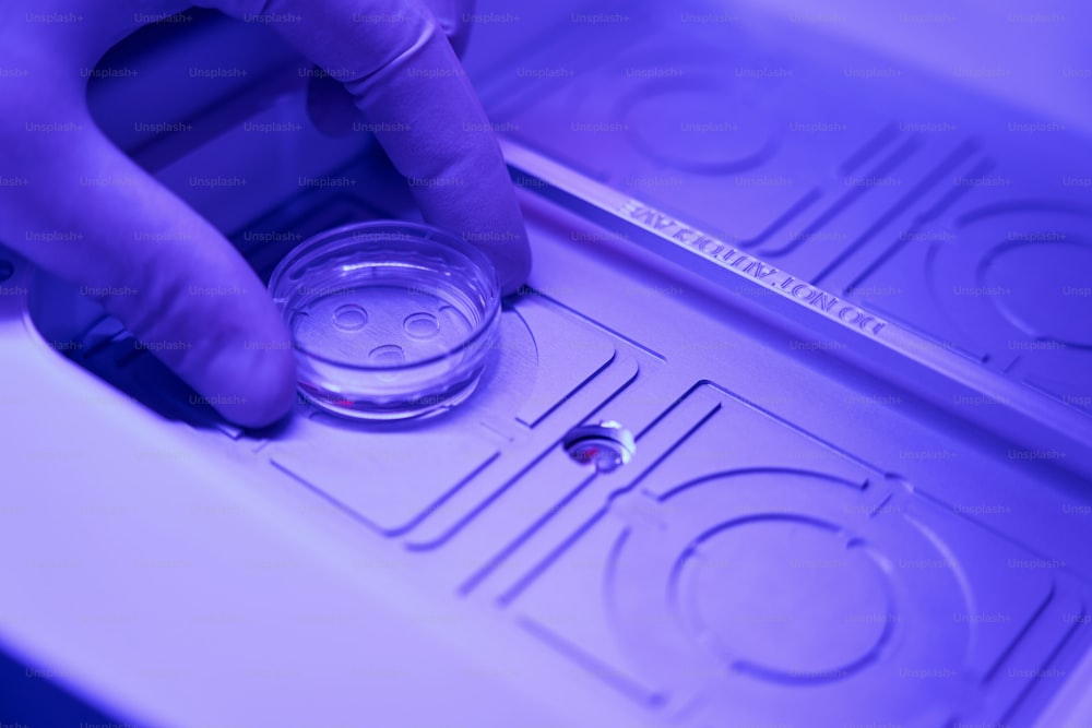 Embryology laboratory technician placing petri dish with embryos into special chamber with heating, in vitro fertilisation incubator