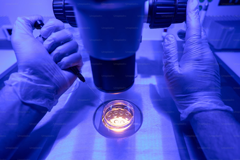 Trabalhador de laboratório estuda células de embrião sob microscópio para analisar estágio de desenvolvimento e crescimento