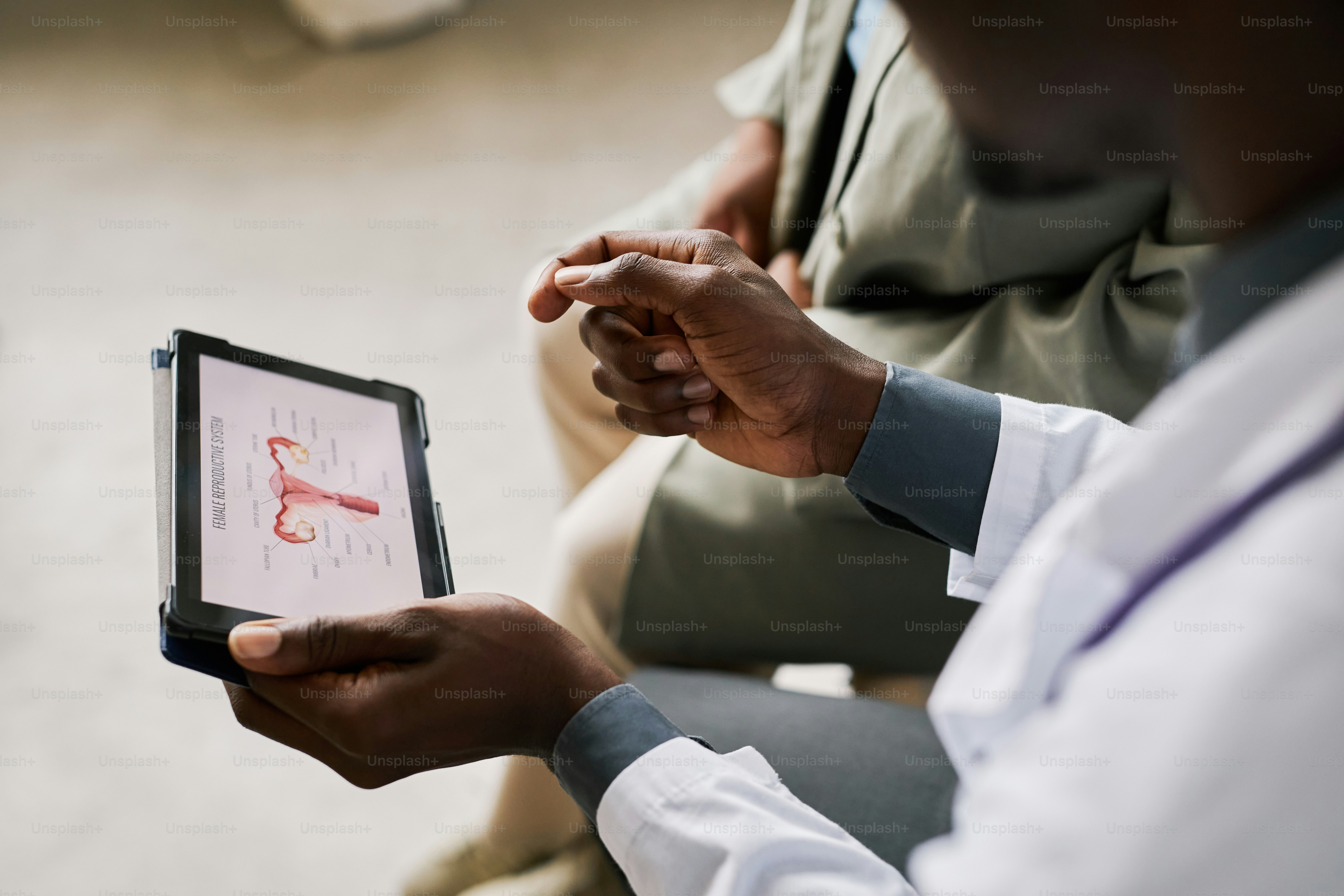 Close up of doctor holding tablet with female reproductive organ charts, copy space