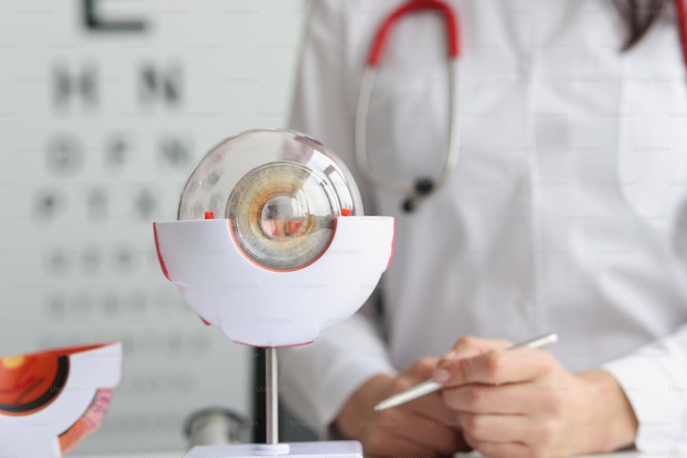 Close-up of ophthalmologist doctor in clinic, part of eye model on desk, oculus sample. Make appointment at oculist. Health, ophthalmology, checkup concept