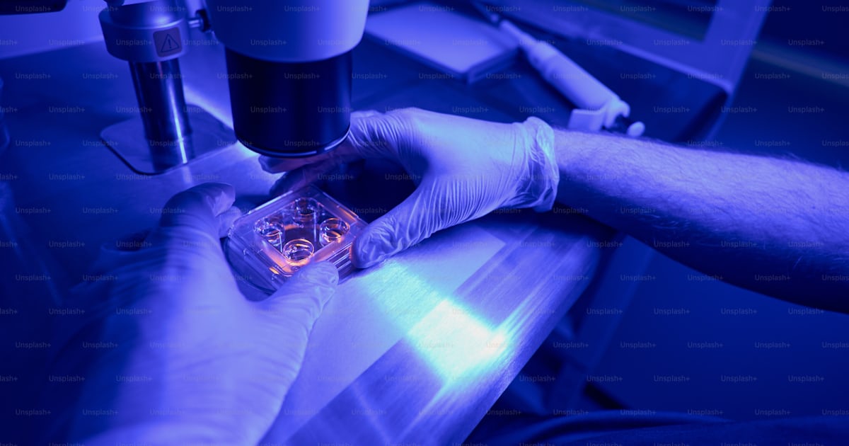 Science laboratory worker researching human stem cells in cell culture ...