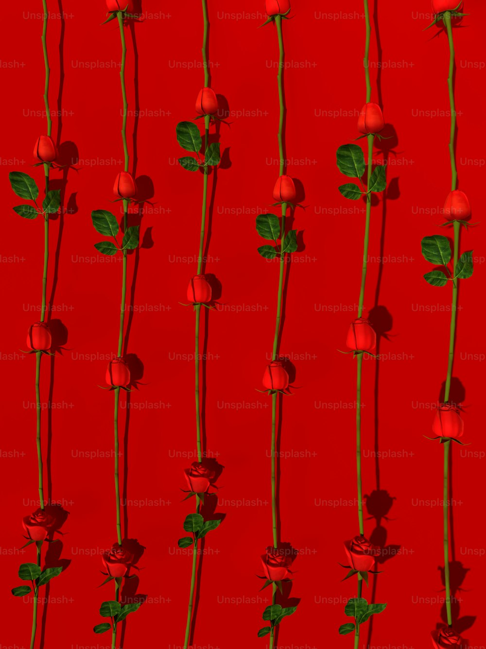 a bunch of red roses on a red background