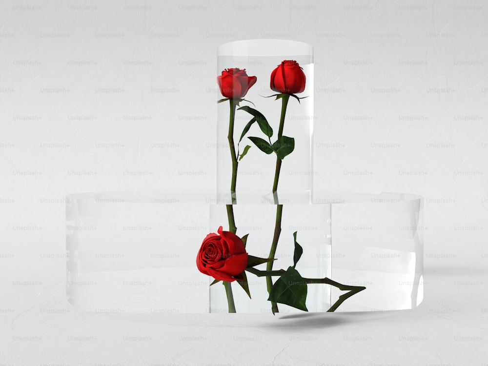 two red roses are in a clear vase