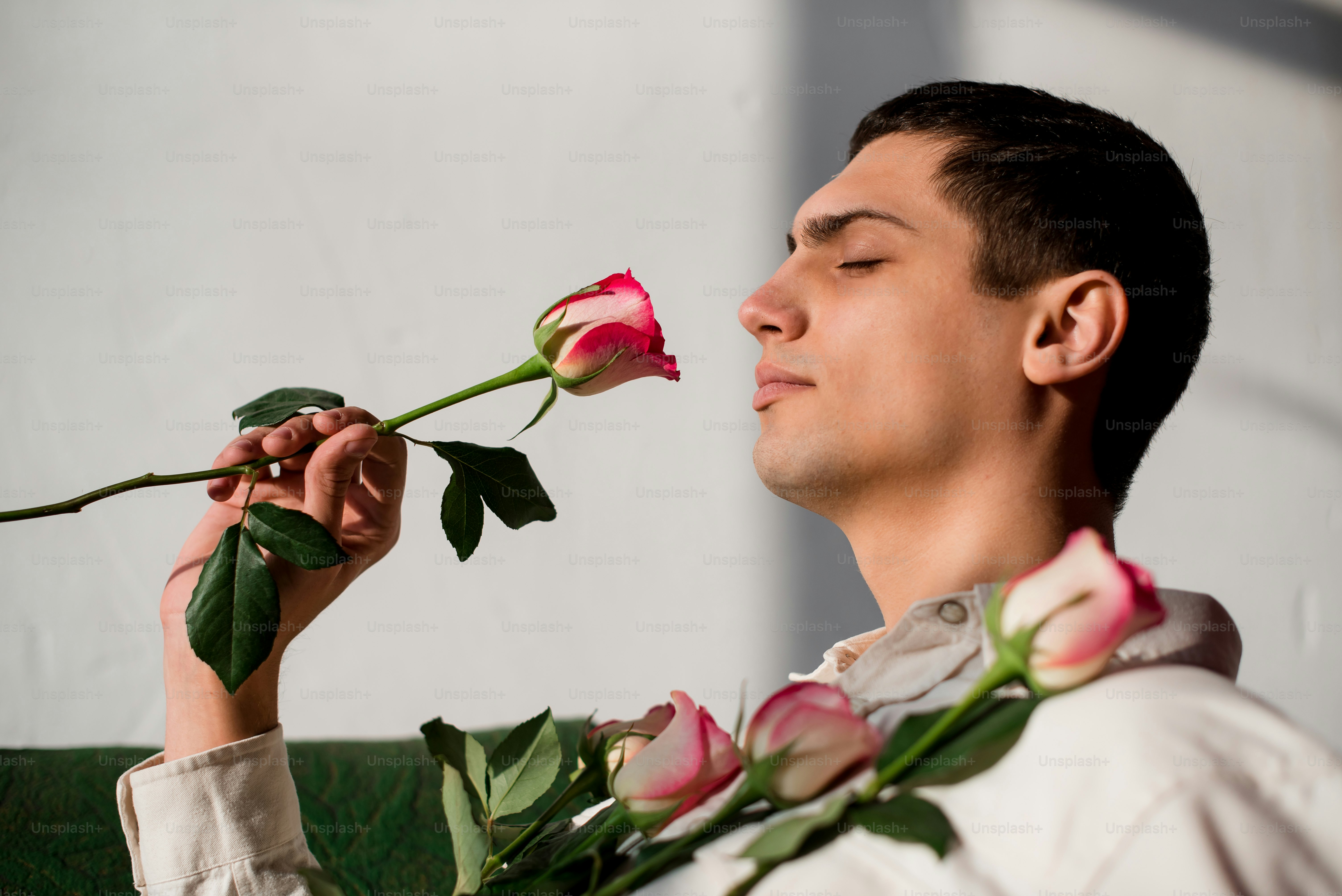 A person arranging roses on a green couch photo – Flower Image on Unsplash