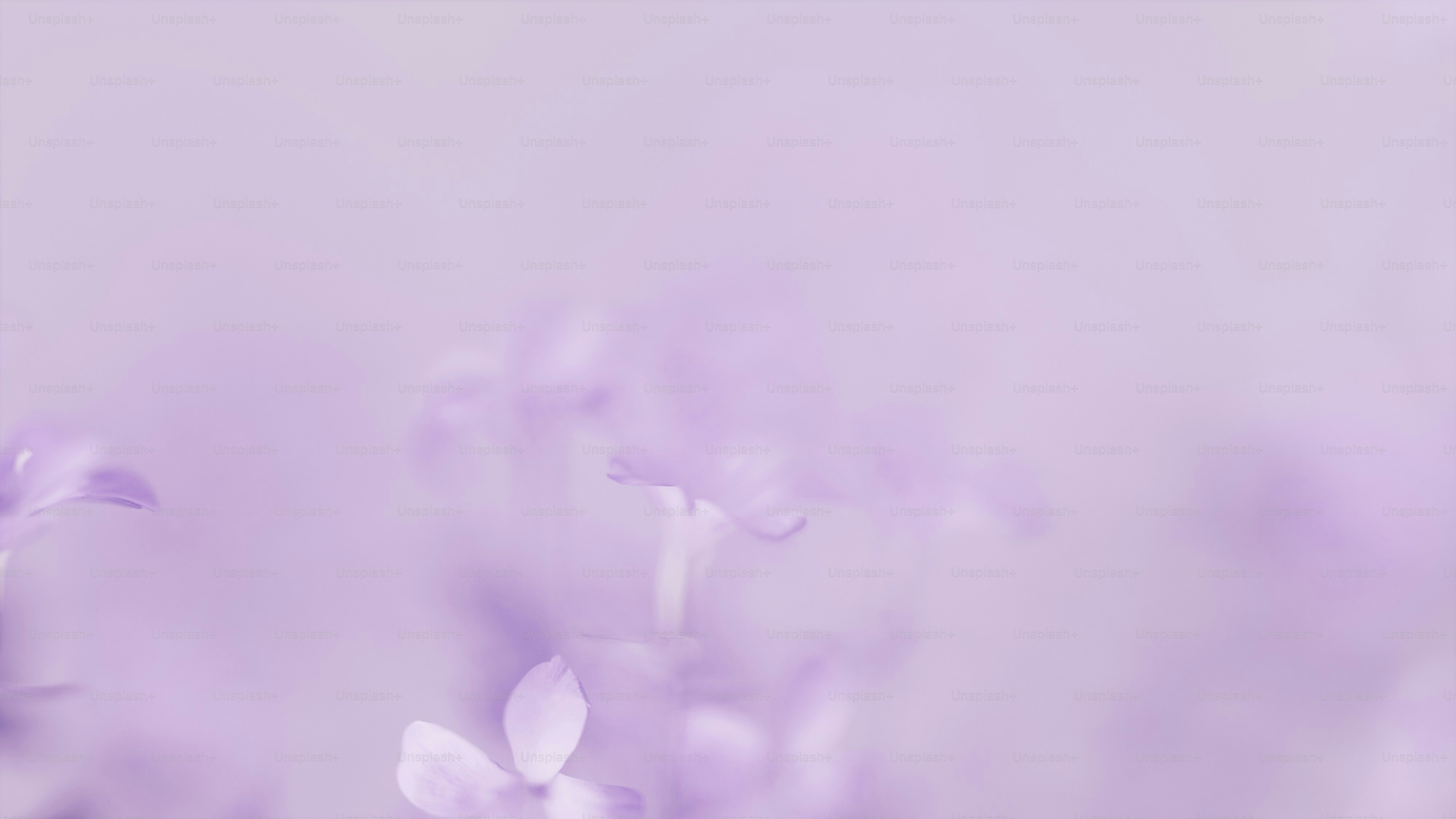 Download Free Lilac Aesthetic Pictures [HD] | Unsplash