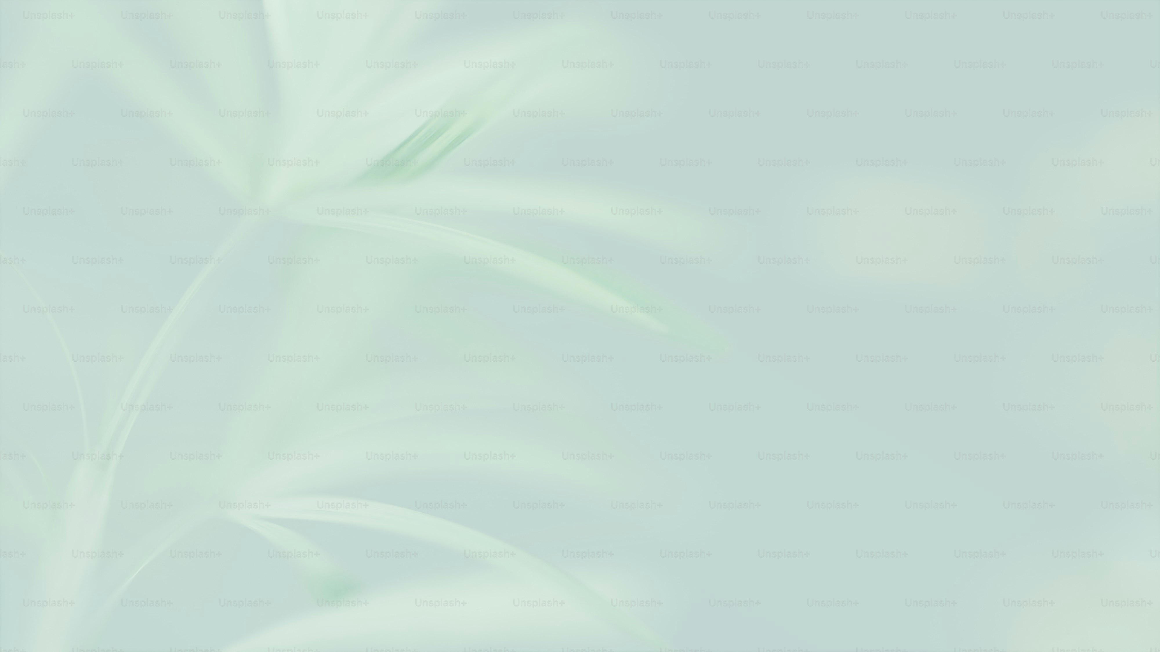 Blurry natural background.