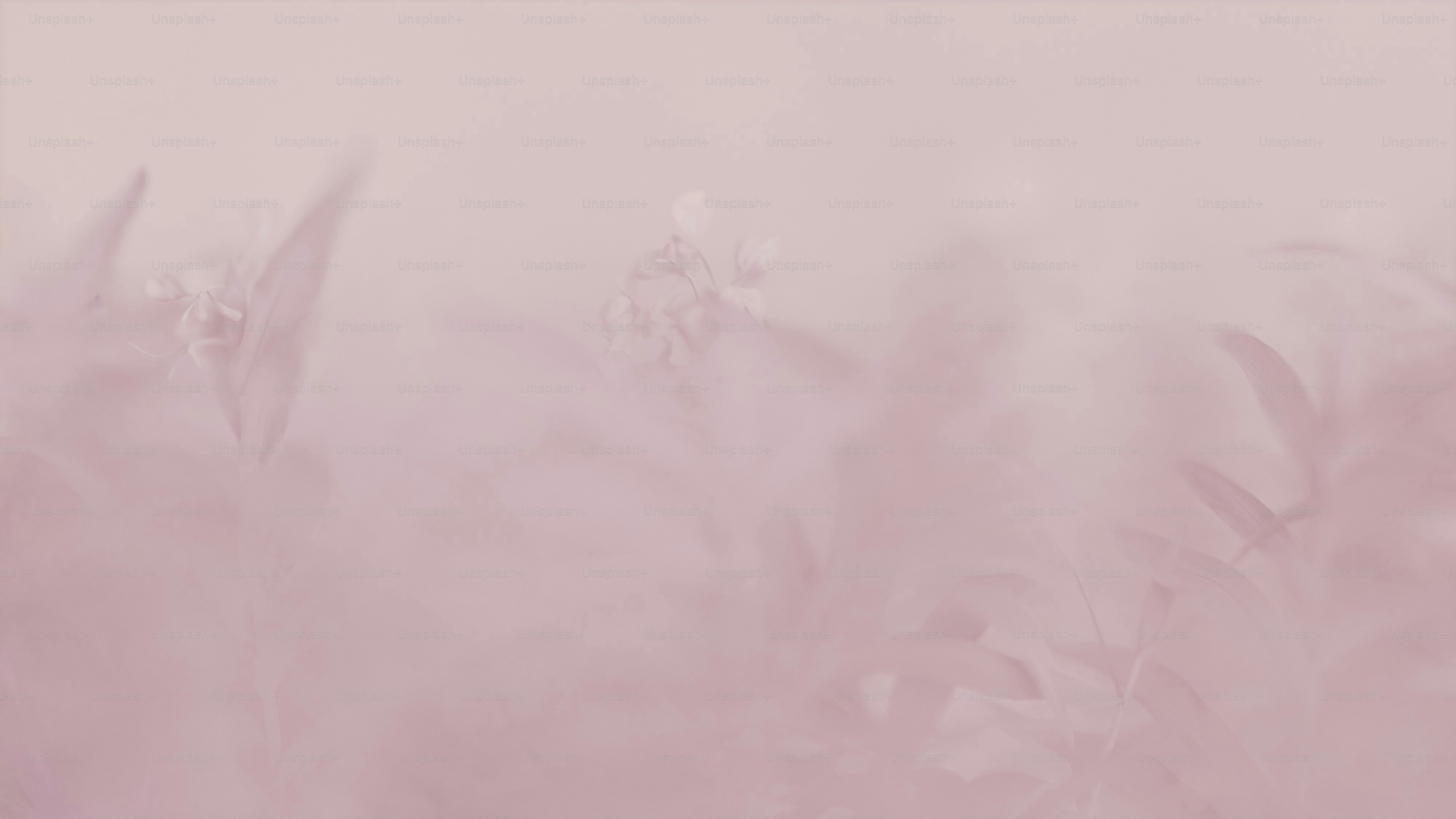 premium_photo-1702968983896-a031c2d28213?ixid=M3wxMjA3fDB8MXxzZWFyY2h8MTN8fCVEMCVCQSVEMSU4MyVEMCVCRiVEMCVCOCVEMSU4MiVEMSU4QyUyMCVEMCVCQyVEMCVCNSVEMSU4NCVEMCVCNSVEMCVCNCVEMSU4MCVEMCVCRSVEMCVCRHxlbnwwfHx8fDE3NTE1NTc3MzF8MA\u0026ixlib=rb-4.1.0