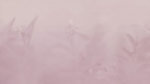 una foto borrosa de un fondo rosa con flores