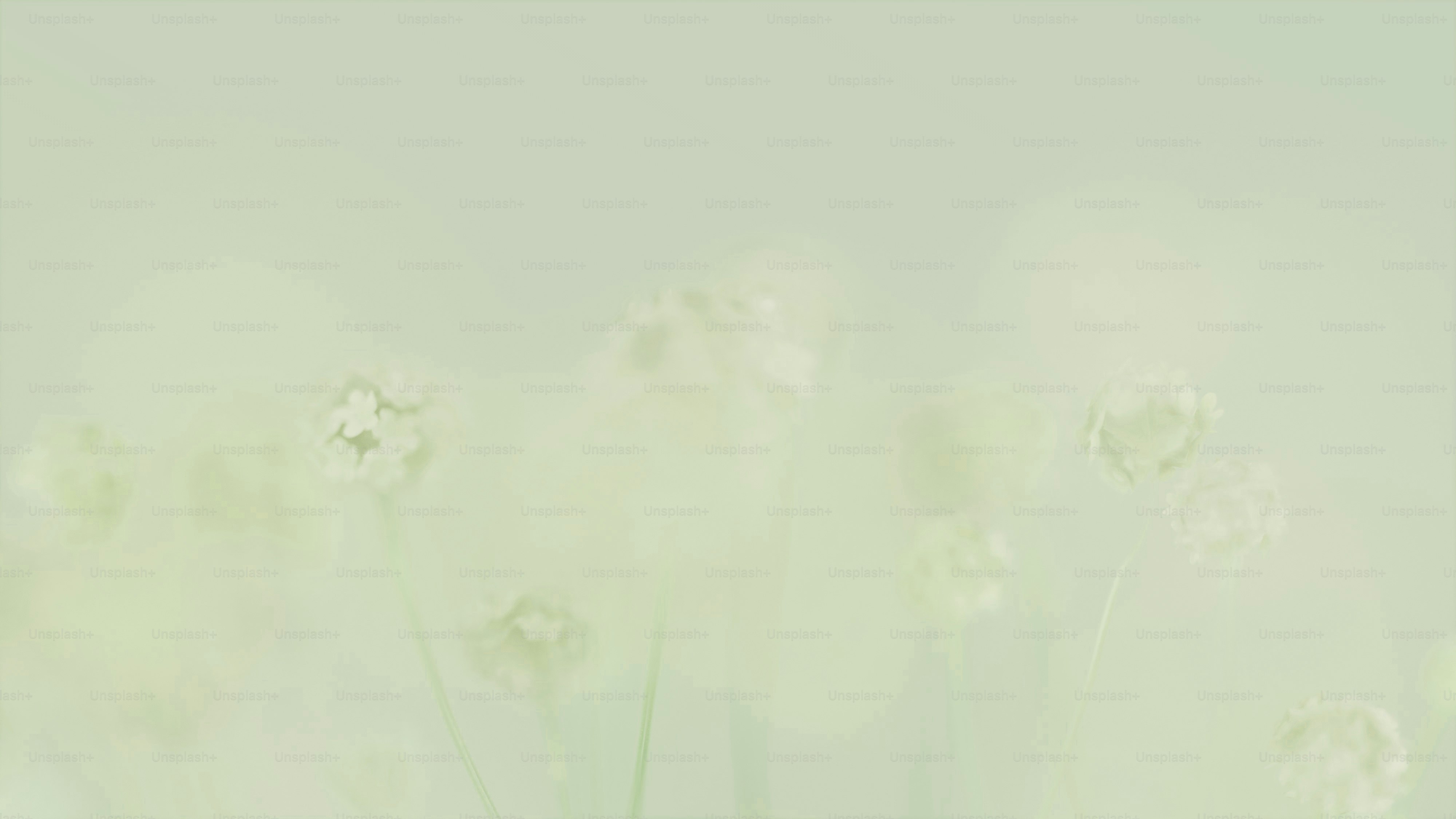 premium_photo-1703063179624-c38720b3786b?ixid=M3wxMjA3fDB8MXxzZWFyY2h8NXx8JUUyJTk4JTg1JUUyJTk4JTg1JUUyJTk4JTg1JUUyJTk4JTg1JUUyJTk4JTg1JUVEJThDJThDJUVDJTlCJThDJUVDJTk1JUJEJUVBJUI1JUFEJTIwJUVBJUIzJUI1JUVDJThCJTlEJTIwJUVEJTk5JTg4JUVEJThFJTk4JUVDJTlEJUI0JUVDJUE3JTgwJUVDJTk3JTkwJUVDJTg0JTlDJTIwJUVDJTgzJTgxJUVCJThCJUI0JUVCJUIwJTlCJUVBJUI4JUIwJUUyJTk4JTlDfGVufDB8fHx8MTc2ODY3NTEwNHww\u0026ixlib=rb-4.1.0