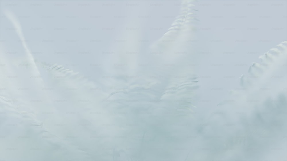 una foto sfocata di piume bianche contro un cielo blu