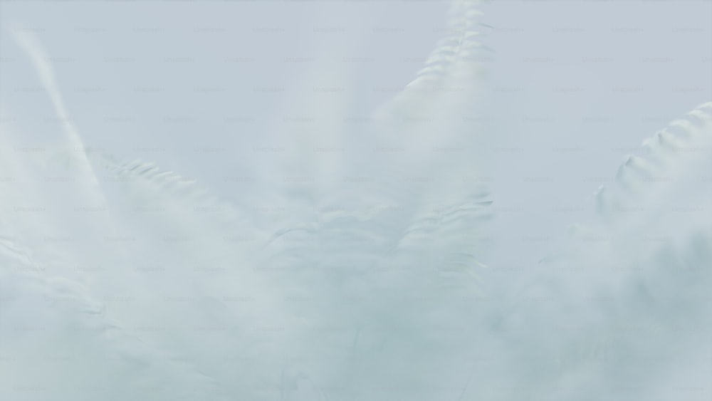 una foto sfocata di piume bianche contro un cielo blu