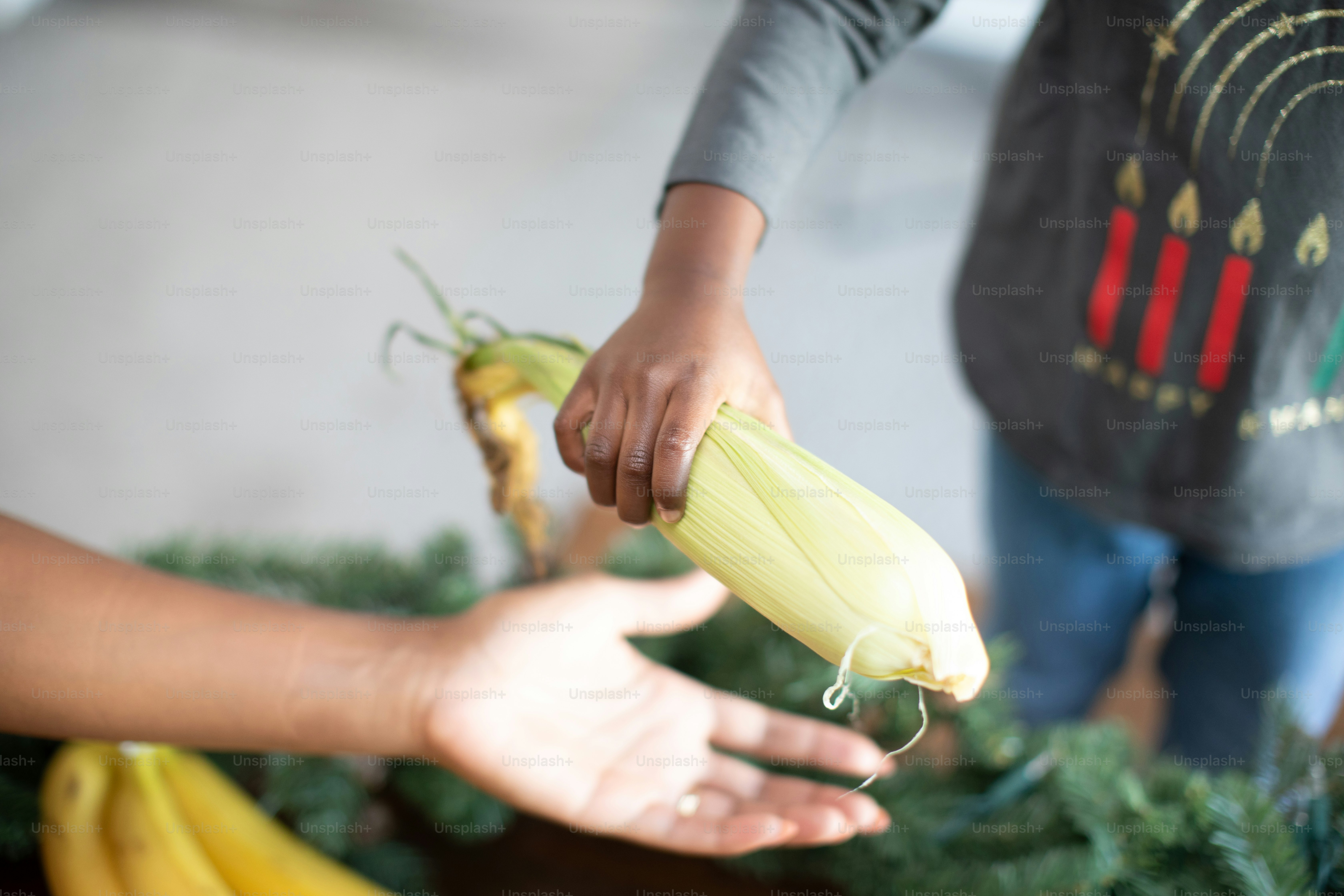Eine Person schält einen Maiskolben
