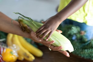 a person holding a stalk of corn in their hand