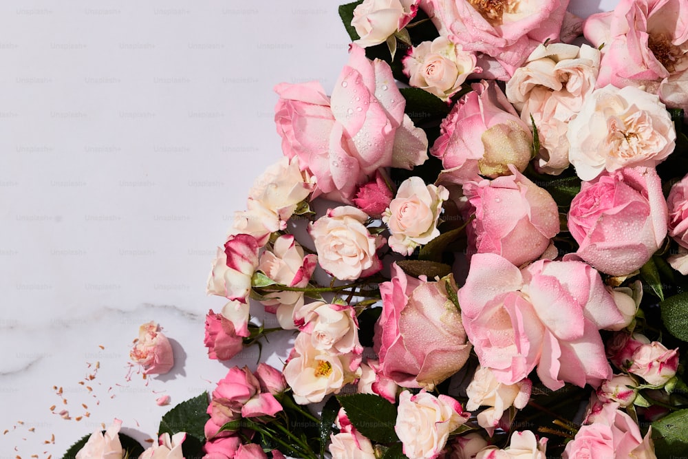 a bunch of pink roses on a white background