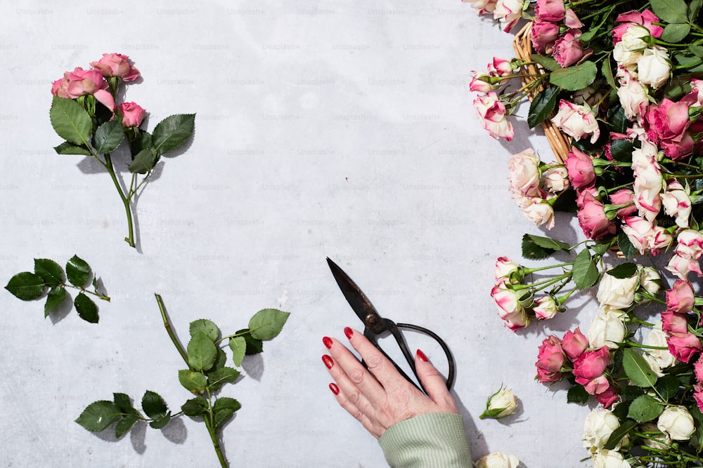 una persona cortando flores con un par de tijeras