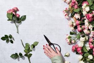 a person cutting flowers with a pair of scissors