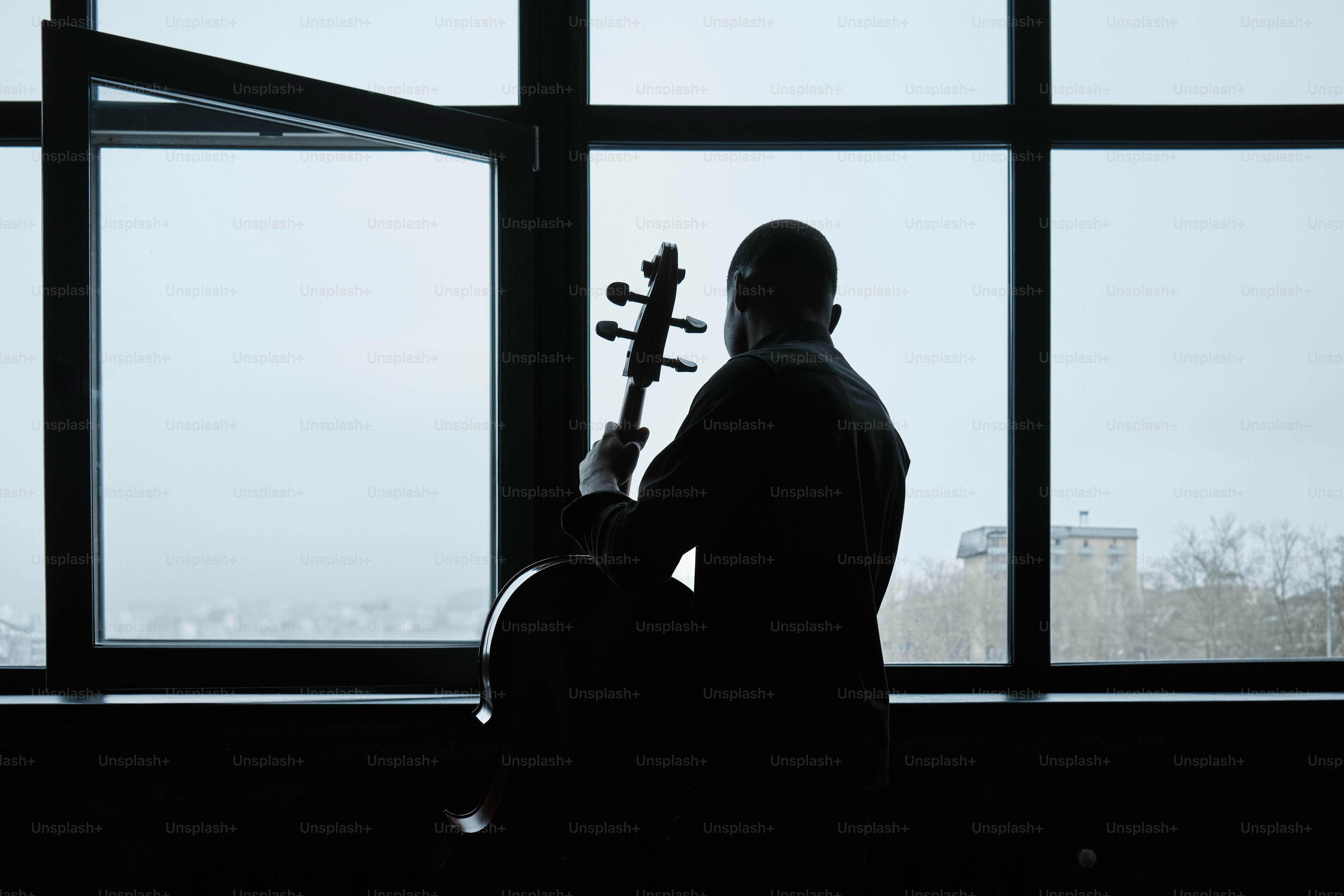 African-American musician and cello player